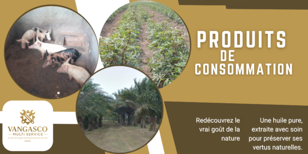vangasco agroalimentaire